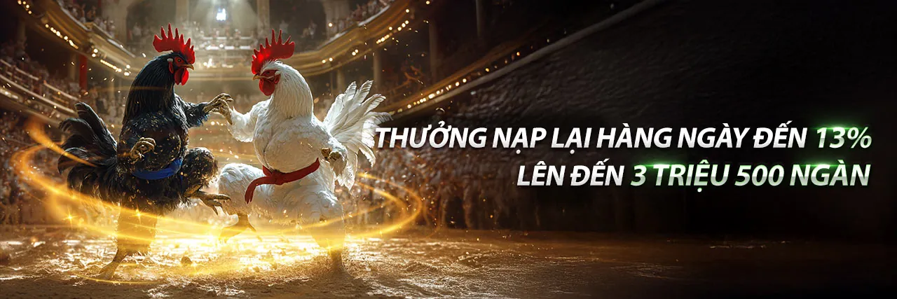 Khuyến mãi độc quyền 77 ball link